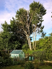 ../fg-gardens16/Homestead_16_WP_20150819.jpg"