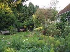 ../fg-gardens17/Wildwood_Garden_2_13.JPG"