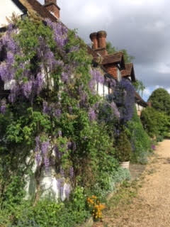 ../fg-gardens19/Crossfarm2019-1-1.jpg"